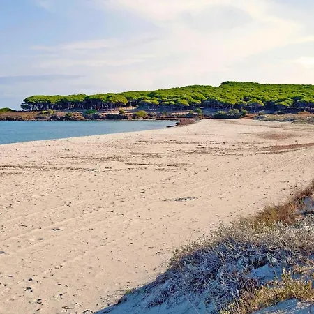 Mare E Pineta Tanauella - Isr02100b-iyc *