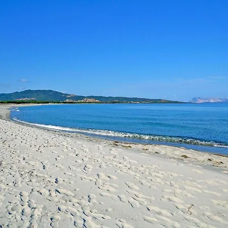 Mare E Pineta Tanauella - Isr02100b-iyc * Tanaunella