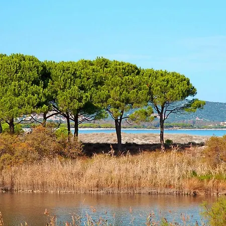 Mare E Pineta Tanauella - Isr02100b-iyc * Tanaunella